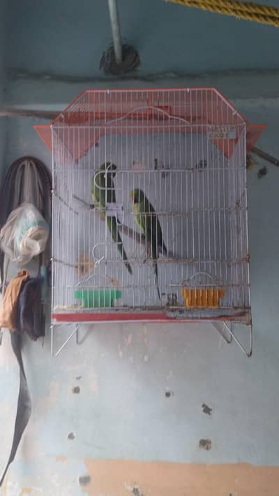Ringack pair with cage 10000 final