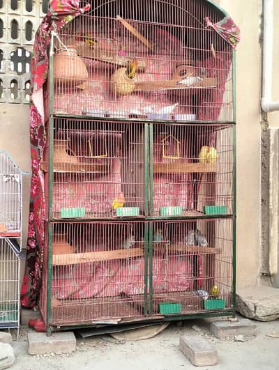 5 portion cage