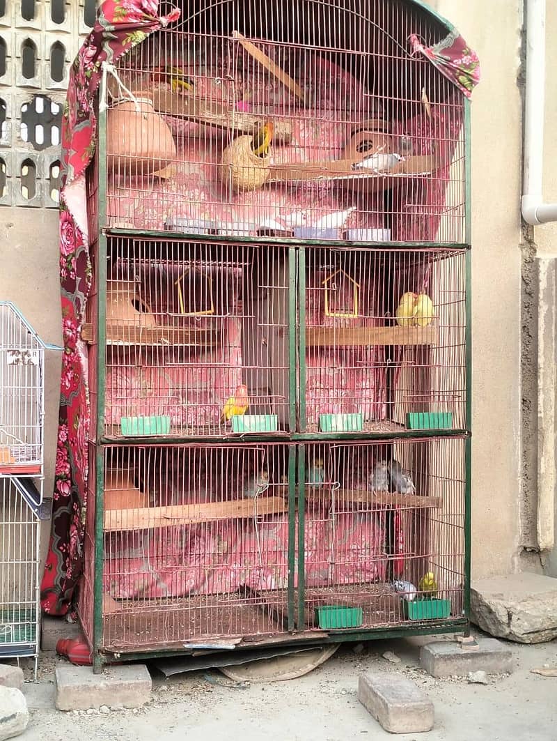 5 portion cage 0