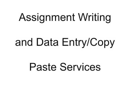 Academic Assignment Writer and Data Entry Worker