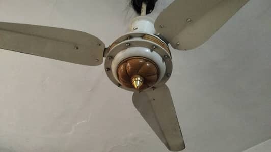 crown fan