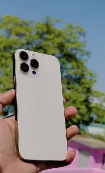 Apple iPhone 13 Pro Max
