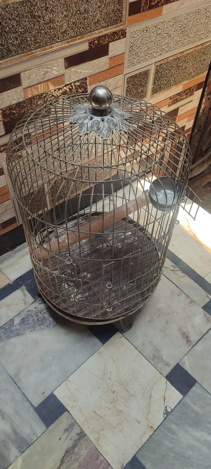 parrot galvanized cage 10 number wire — photo 2