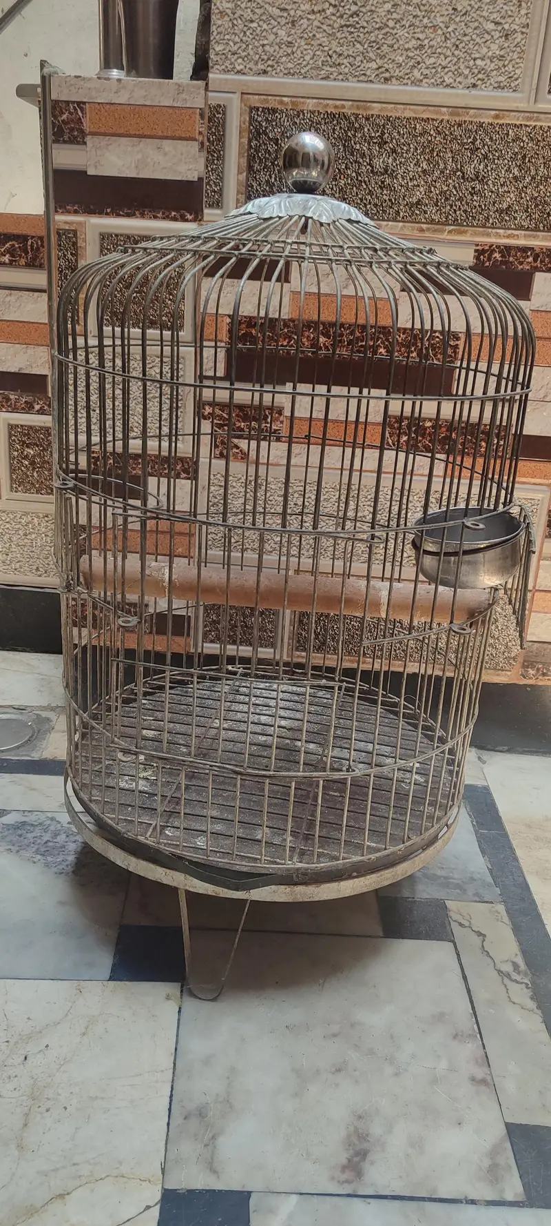 parrot galvanized cage 10 number wire — photo 4