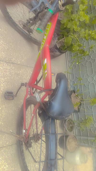 Fat tyre bicycle for boys