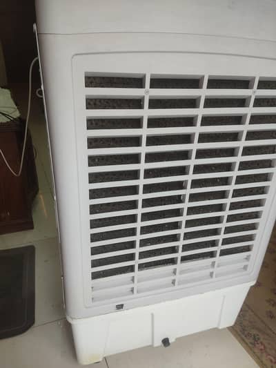 best condatin. urgent sale
