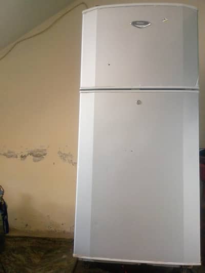 freg for sale