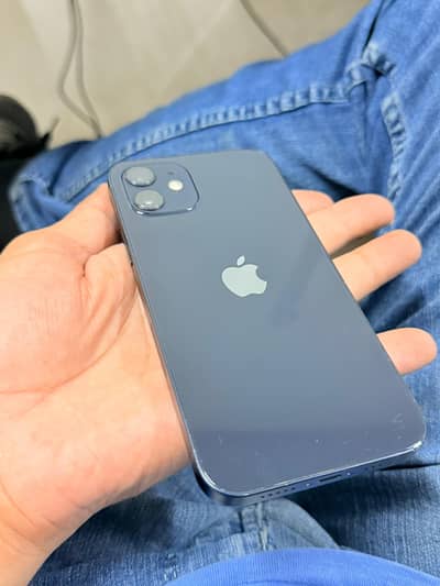 Apple iPhone 12