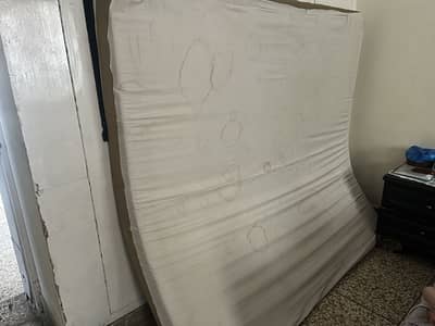 Molty foam mattress used