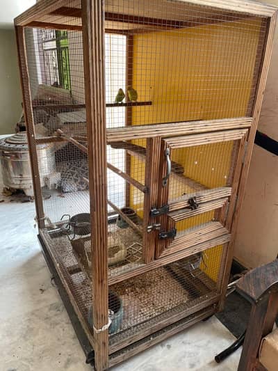 Bird Cage can Use for chickens as well