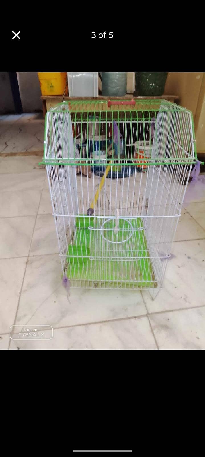 cage, 1