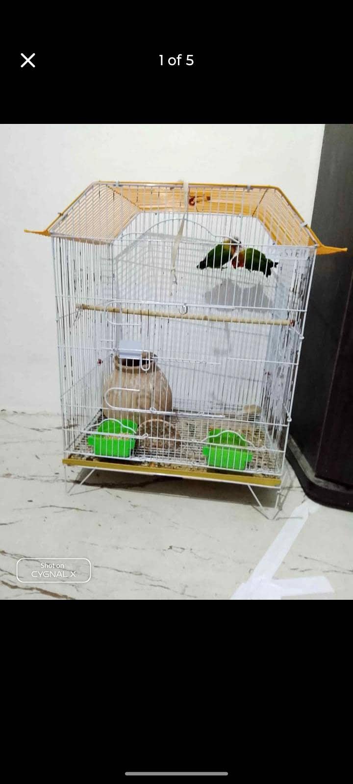 cage, 2