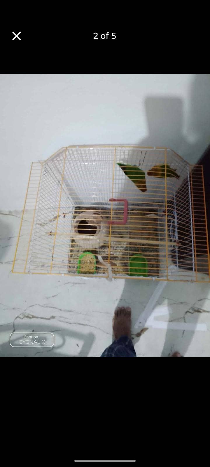 cage, 3