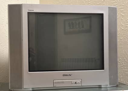 TV along With Trolley For Sale