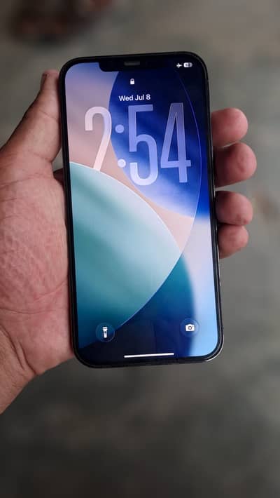 Apple iPhone 12 Pro Max