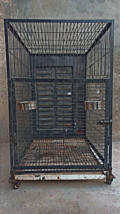 Iron cage Urgent sale