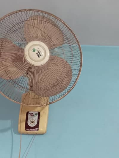 pak fan