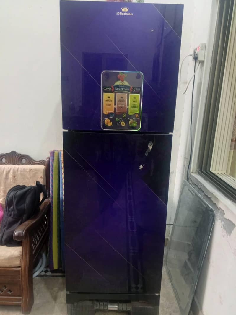 fridge 1