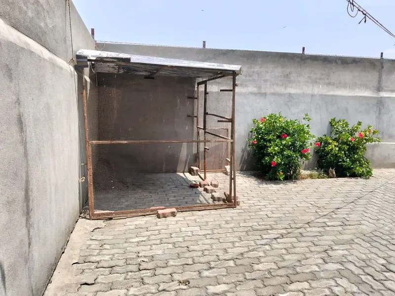 iron cage — photo 11