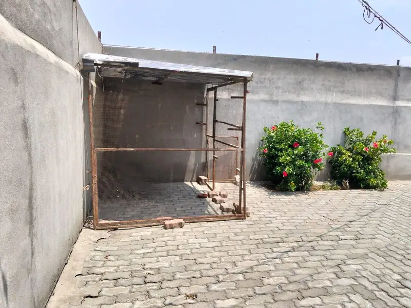 iron cage — photo 12