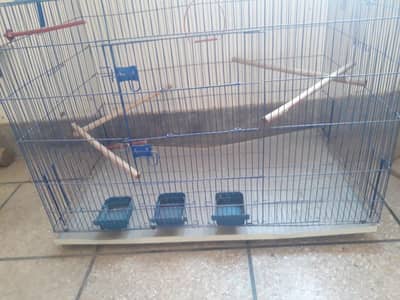 Steel Cage