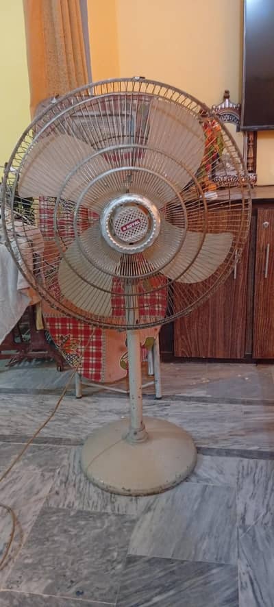 Royal pedistal fan
