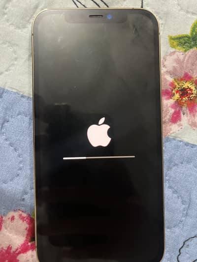 Apple iPhone 12 Pro