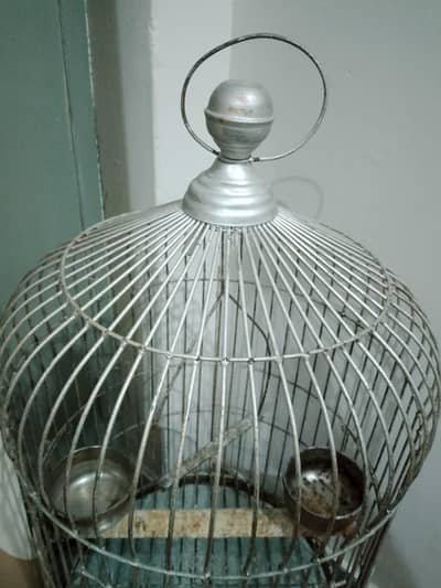 parrot cage