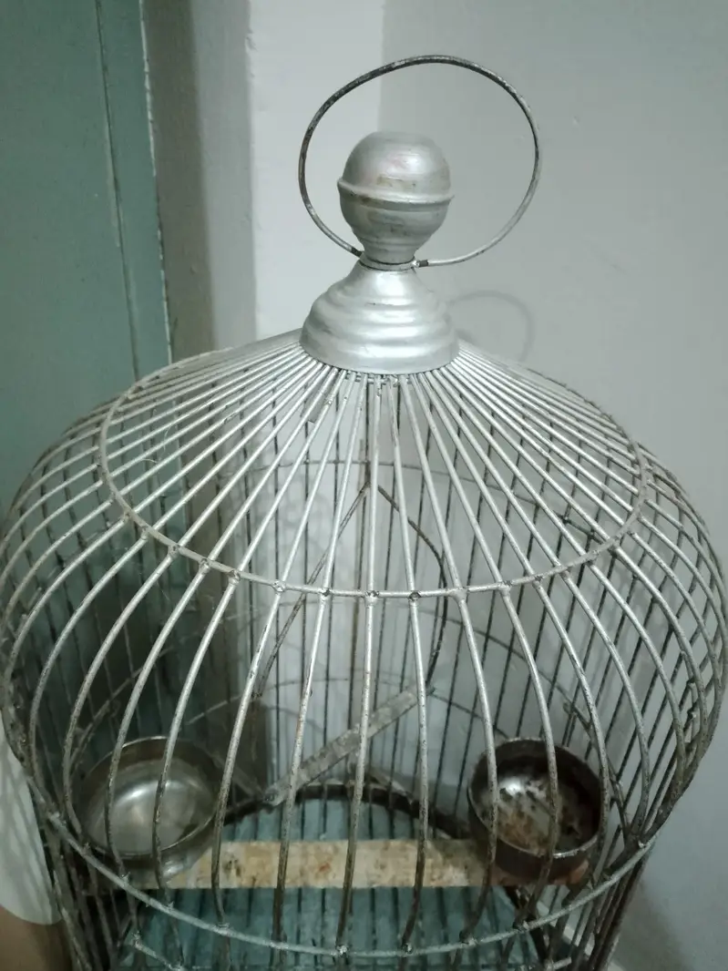 parrot cage