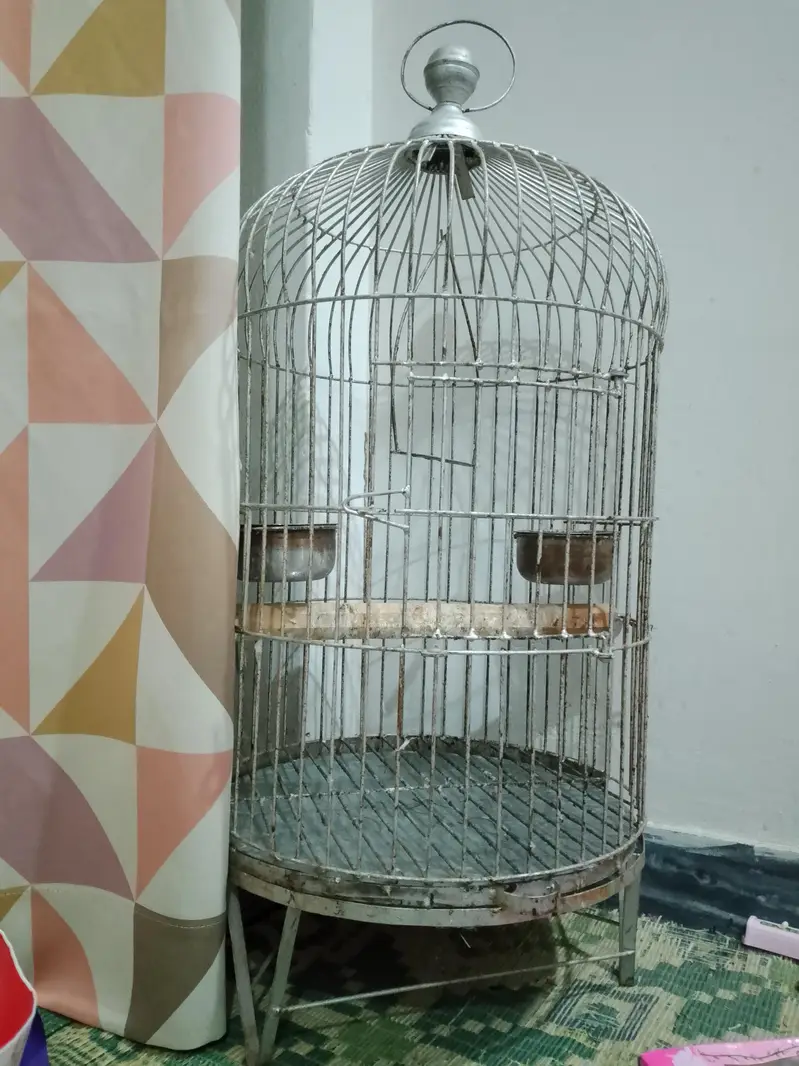 parrot cage — photo 2