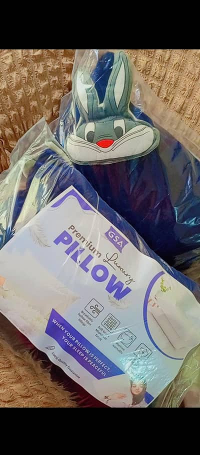 Last Stock Sale Kids Pillow