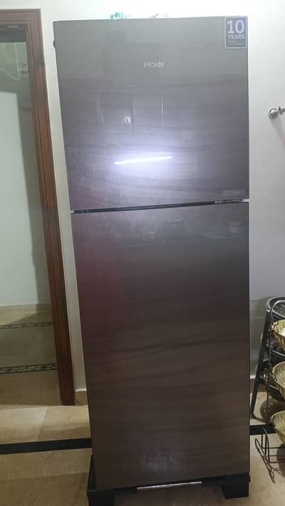 Haier 12 cubic ft (306L)glass door refrigerator