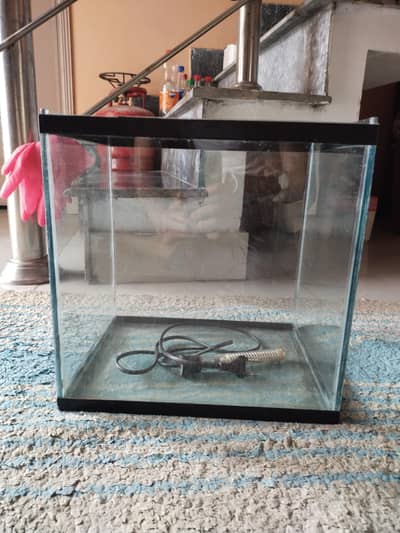 Fish Aquarium