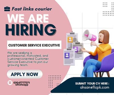 Customer service executive