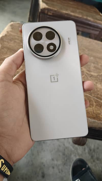 One Plus 13R /03284029508