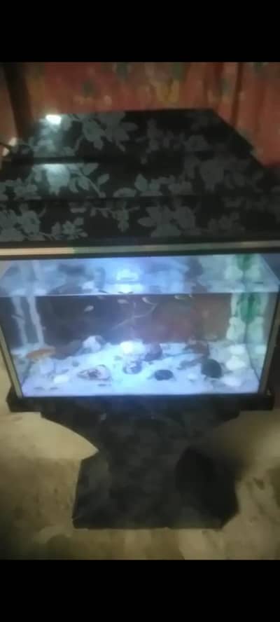 aquarium