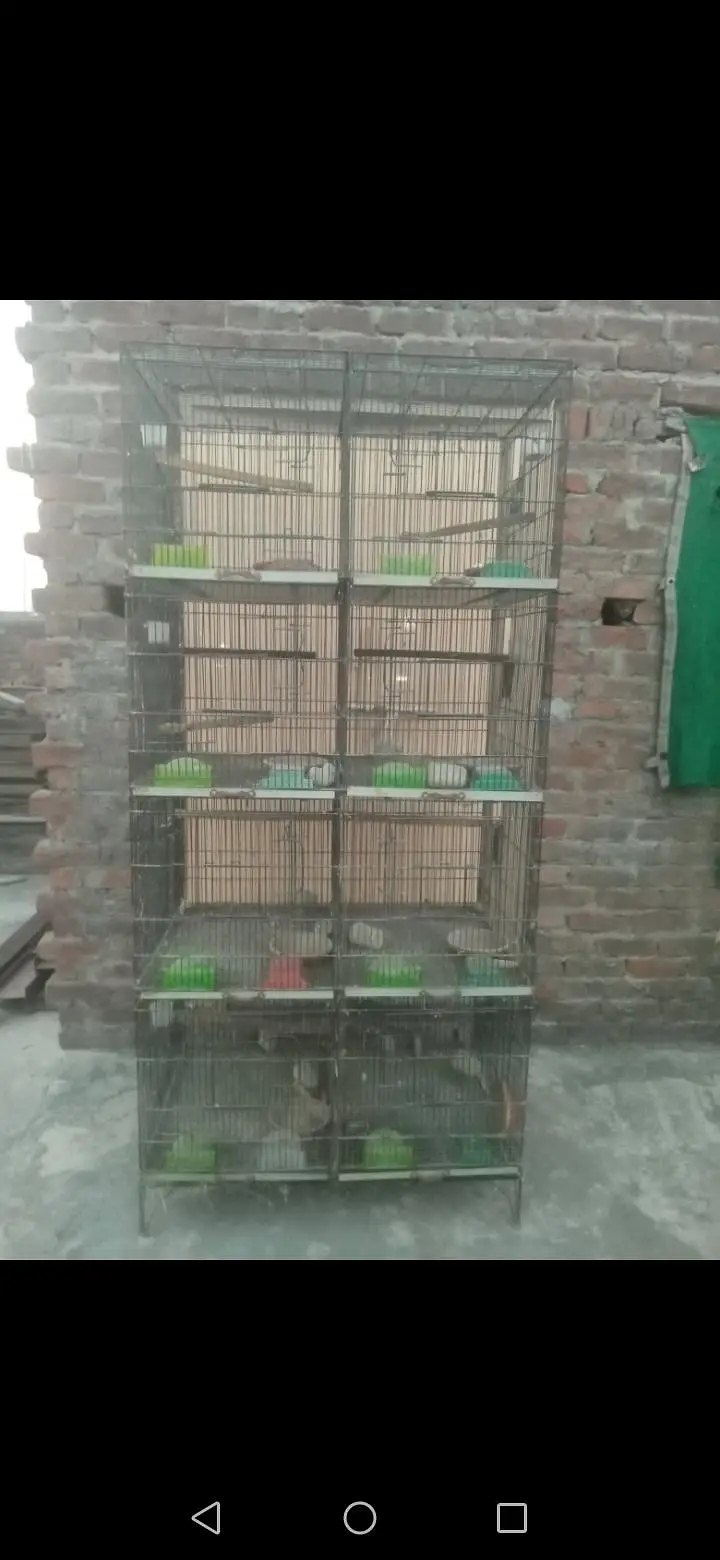 Cage sell. exchange posibal led tv32'' — photo 6