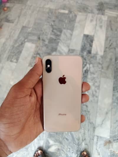 Apple iPhone X