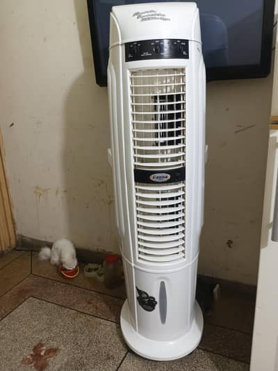 I-zone air cooler 4 months used only