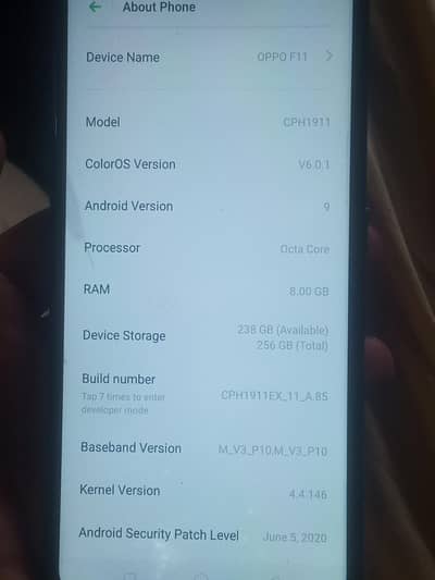 OPPO F11 8/256
