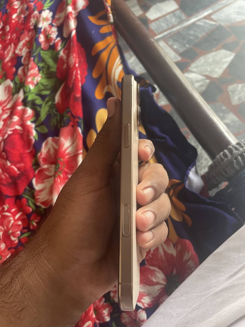 Apple iPhone 16 Pro Max 1