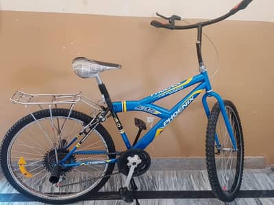 A   unique bicycle