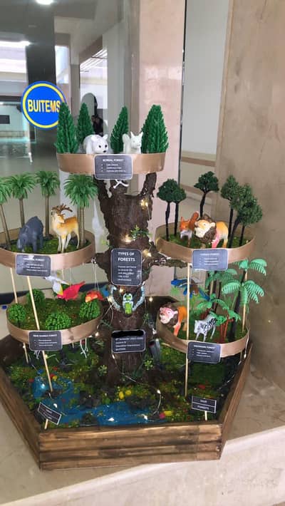 Handmade Educational 3D Forest Ecosystem Model Available for Sale - Q
