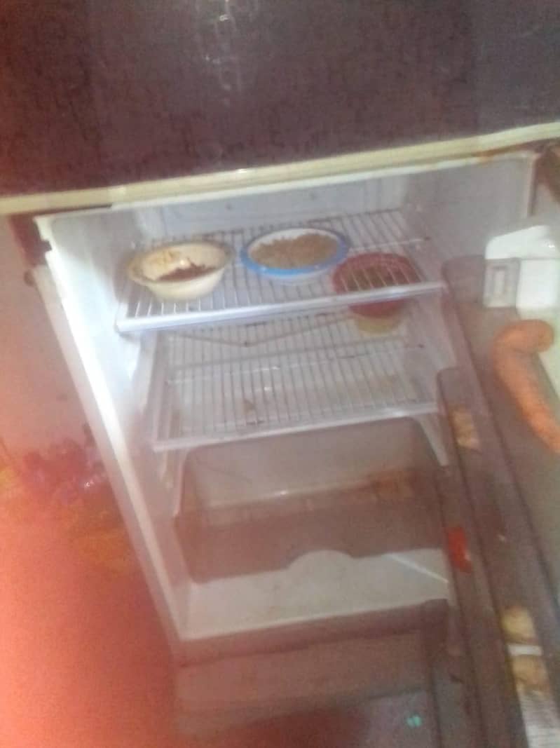 medium size good condition  3