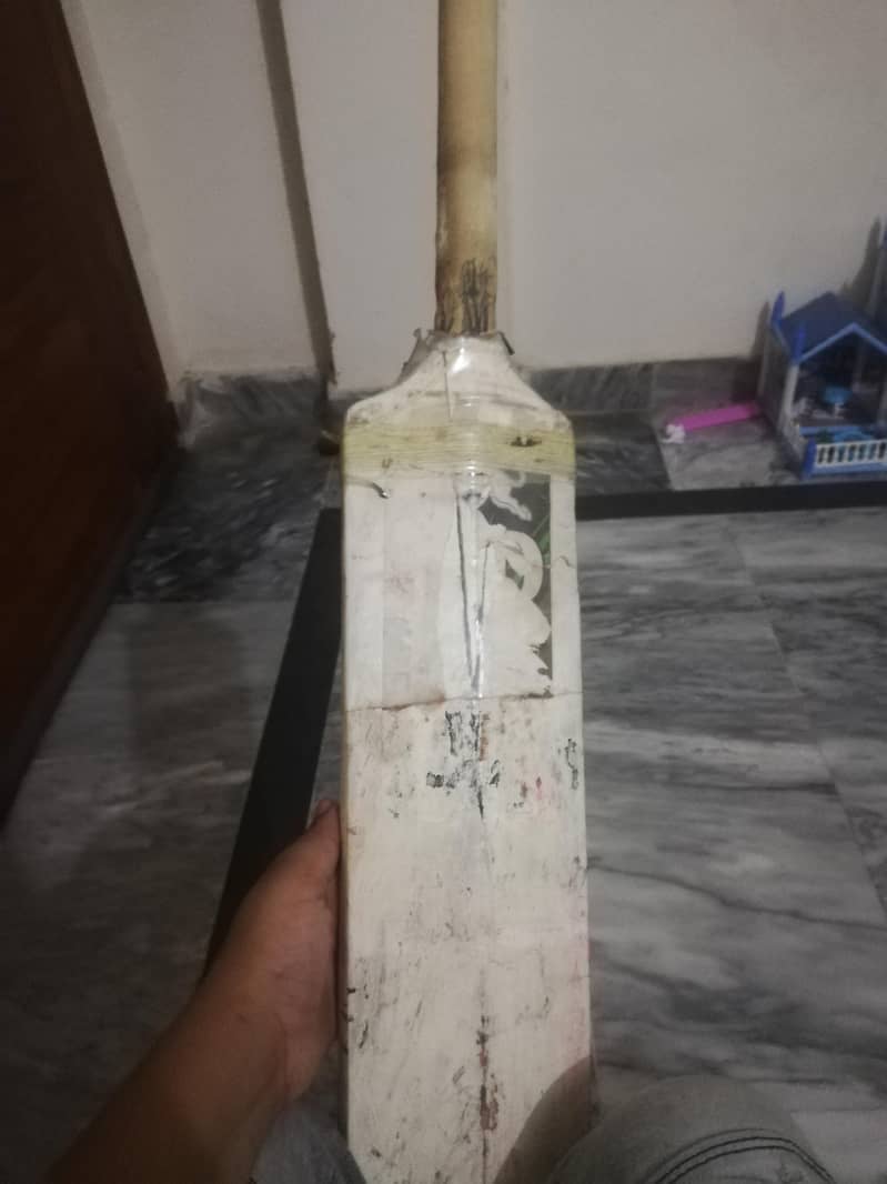used bat 1