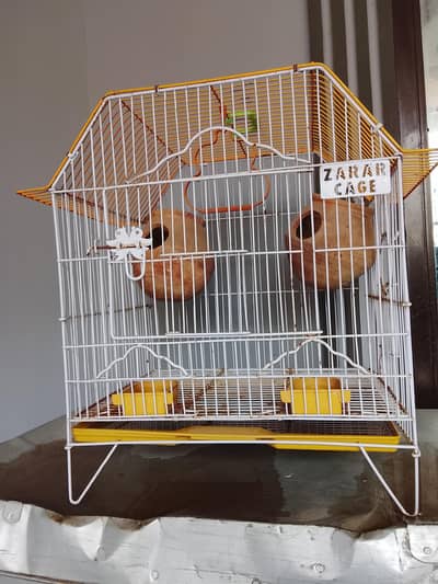Birds Cage