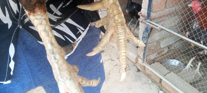 available