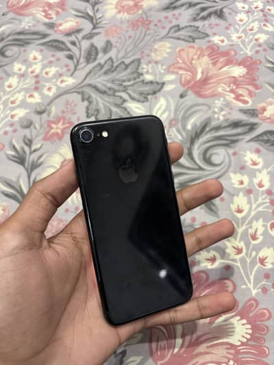Apple iPhone 7 PTA Approved 256 GB