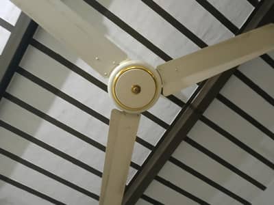 3 fans best quality ma ok condition