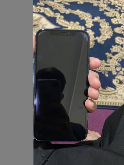 Apple iPhone 12